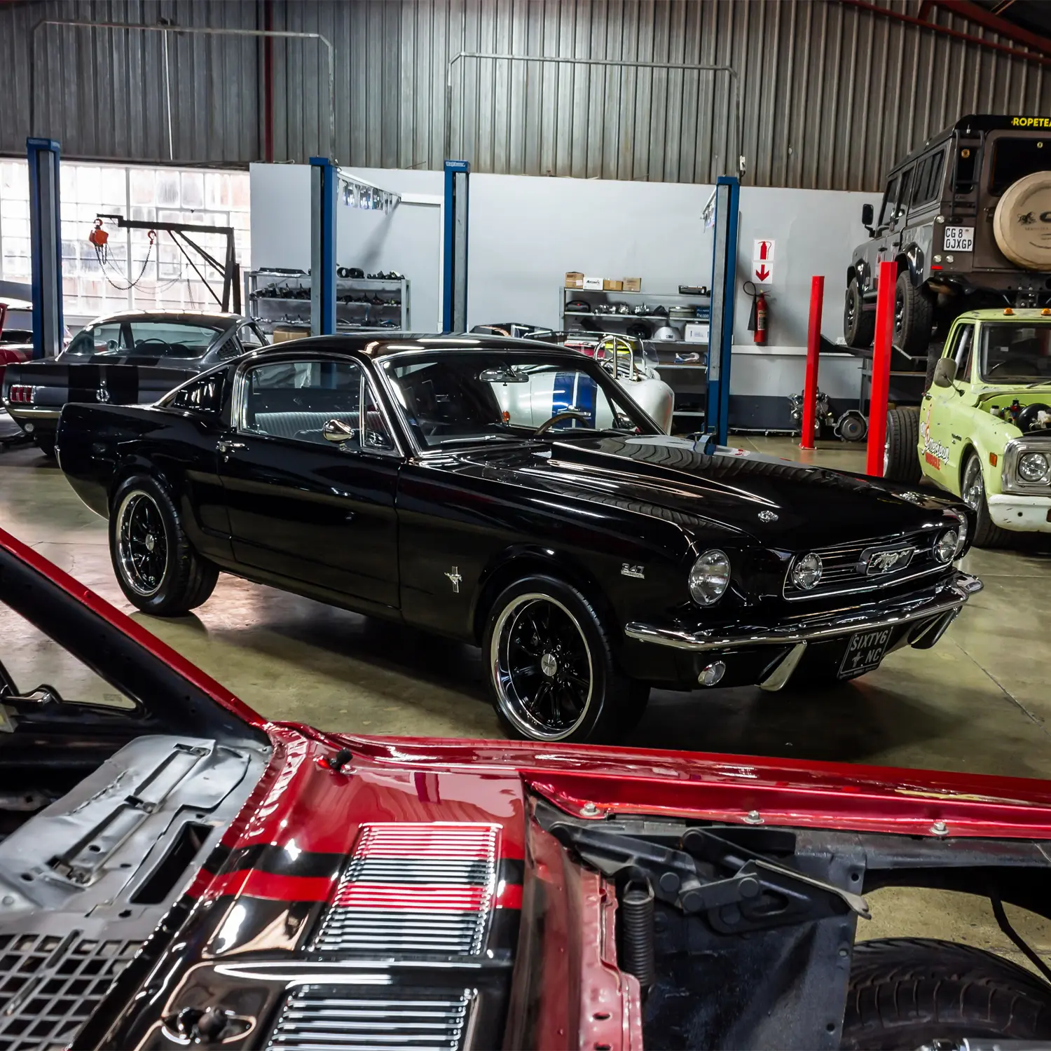 Pieter Laubscher's Immaculate 1966 Ford Mustang: A Testament to Patience and Passion
