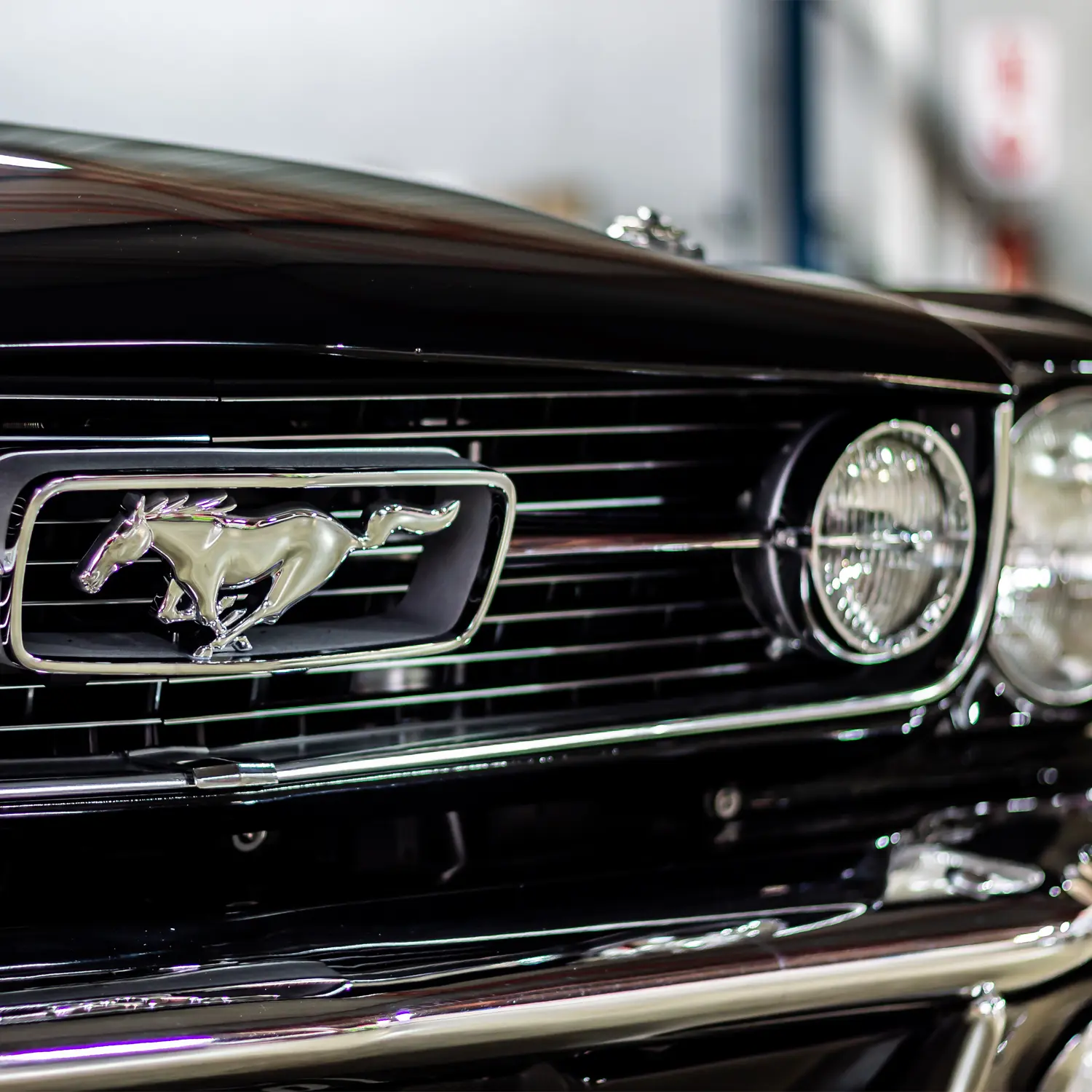 Pieter Laubscher's Immaculate 1966 Ford Mustang: A Testament to Patience and Passion