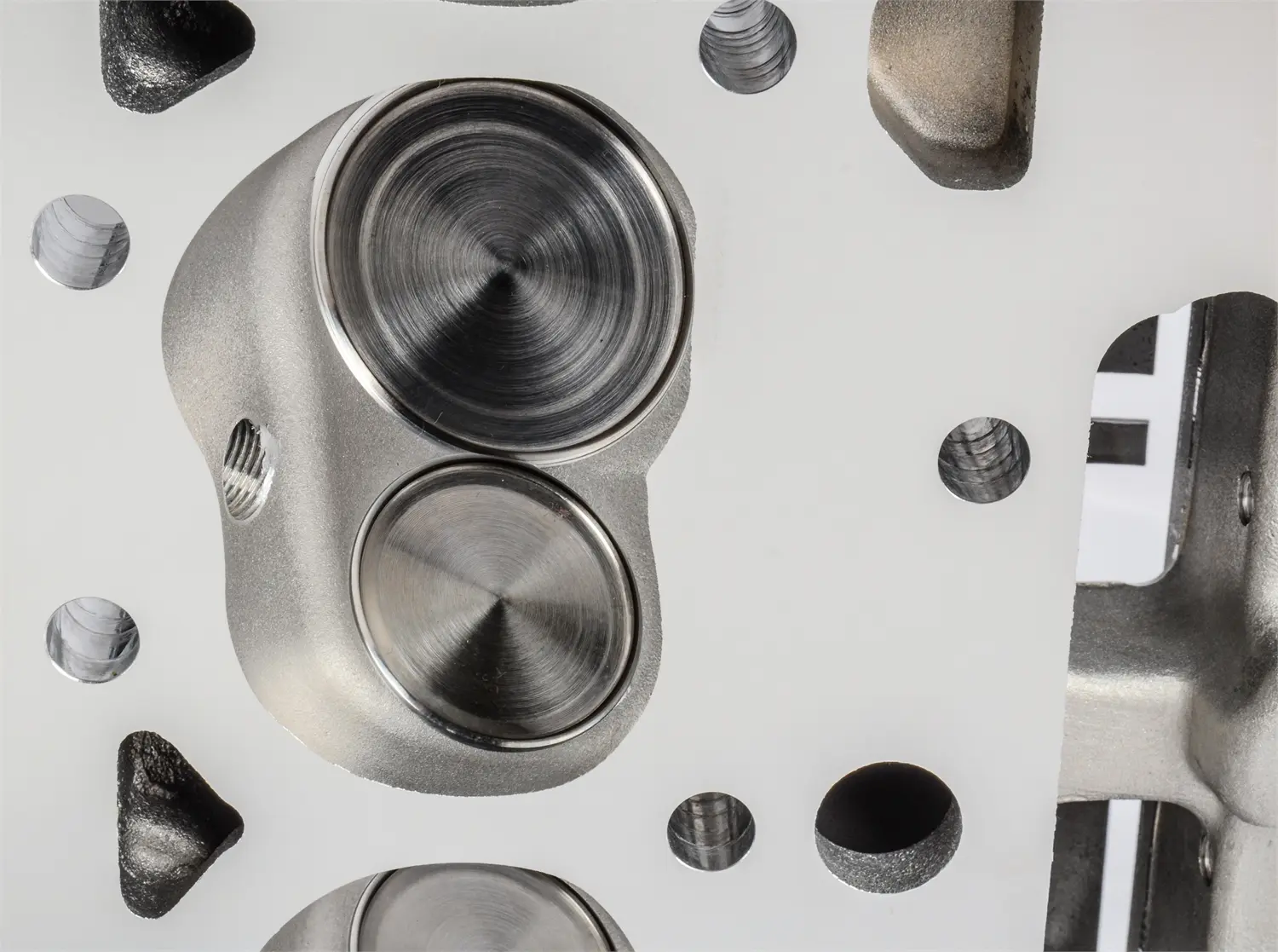 Mastodon Pro Series SBC Cylinder Heads 195cc Intake (Pair)