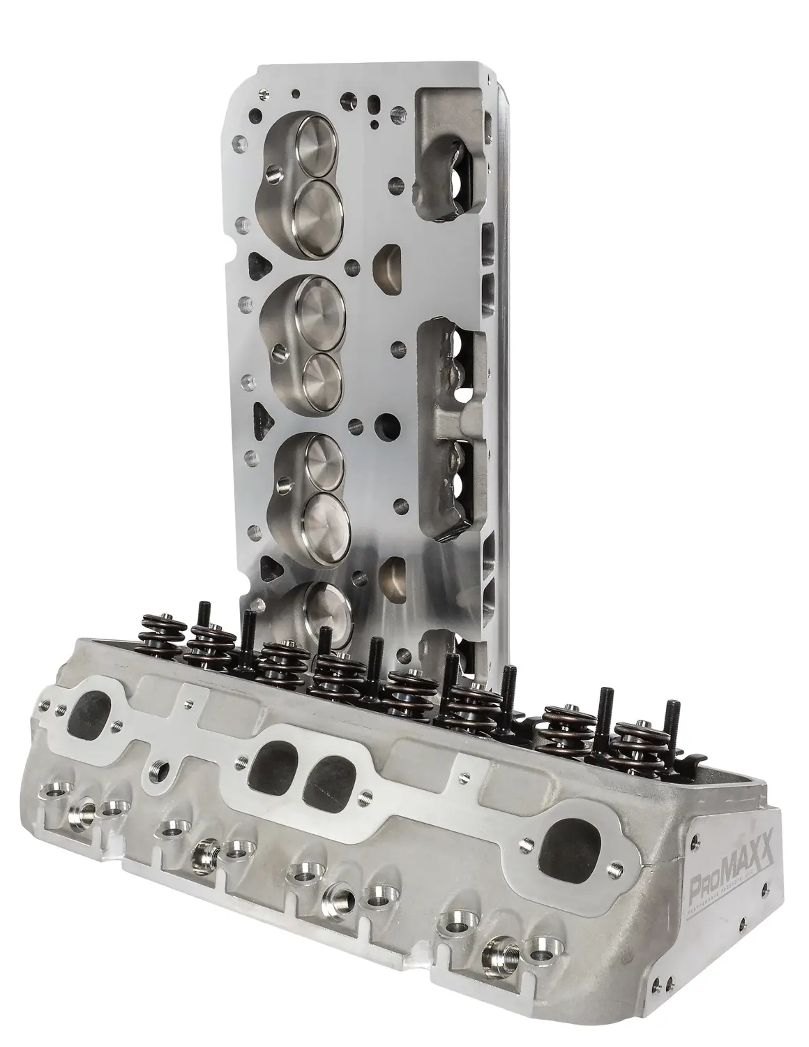 Mastodon Pro Series SBC Cylinder Heads 195cc Intake (Pair)
